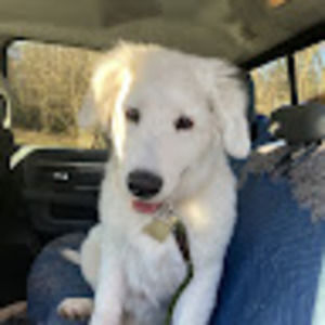 Meet your Posher, Chloe